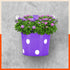 RUI Hanging Metal Pot Holders / Planters for Home / Balcony / Garden | Purple